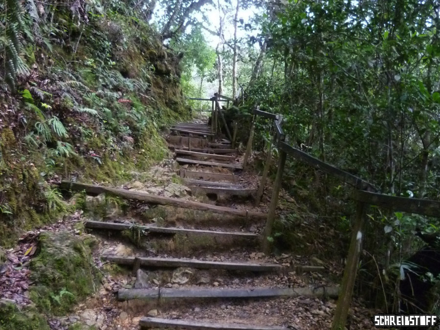 Der Weg auf den Mount Kinabalu fuehrt viele Stufen hinauf – hier aus Holz.