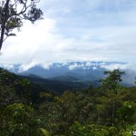 Blick ins gruene Borneo