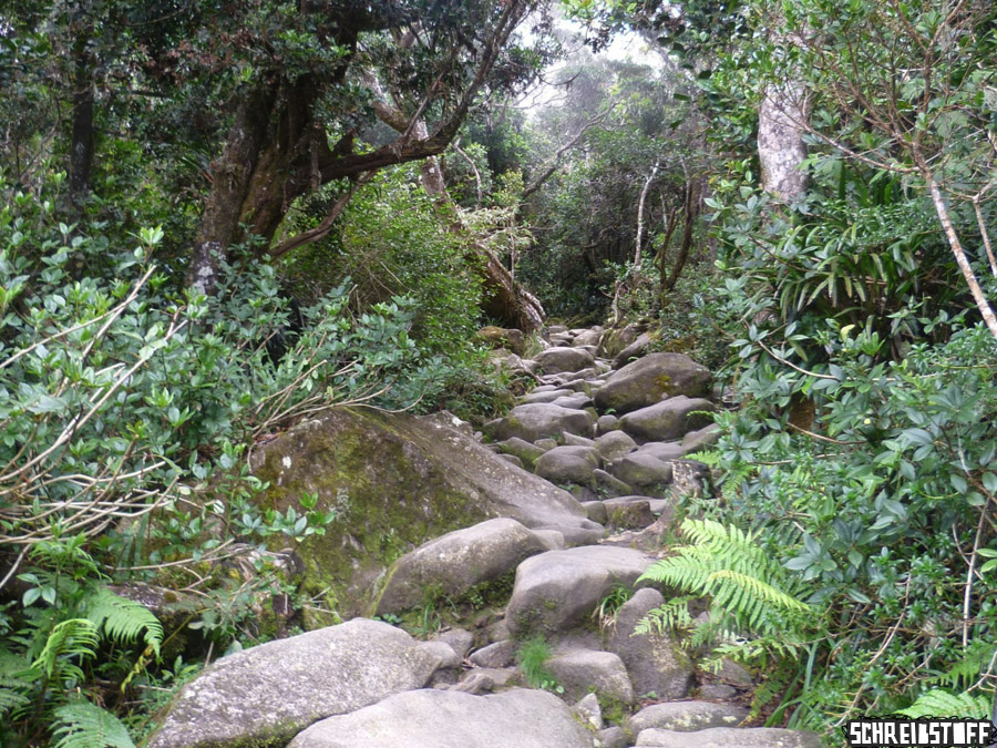 mount_kinabalu4