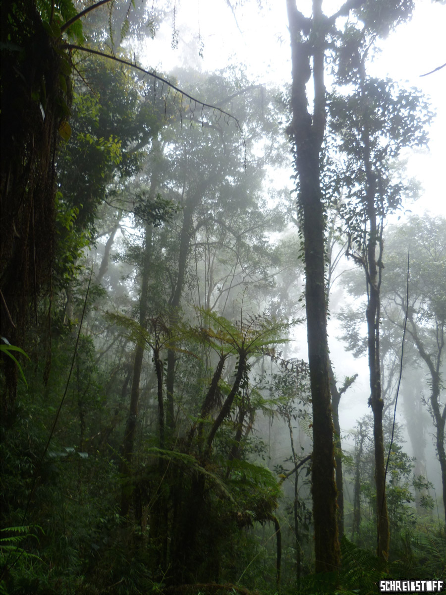 mount_kinabalu5