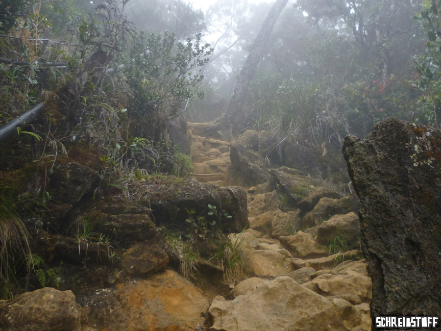 mount_kinabalu6